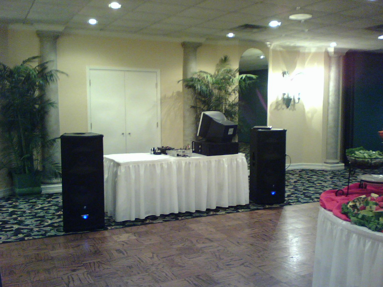 DJ Party Corporate/Wedding Event