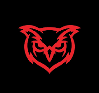 Red Owl Boxing logo